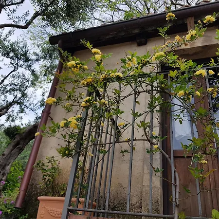 Bed And Breakfast Tenuta Palmieri Only Adult Maratea Exterior photo