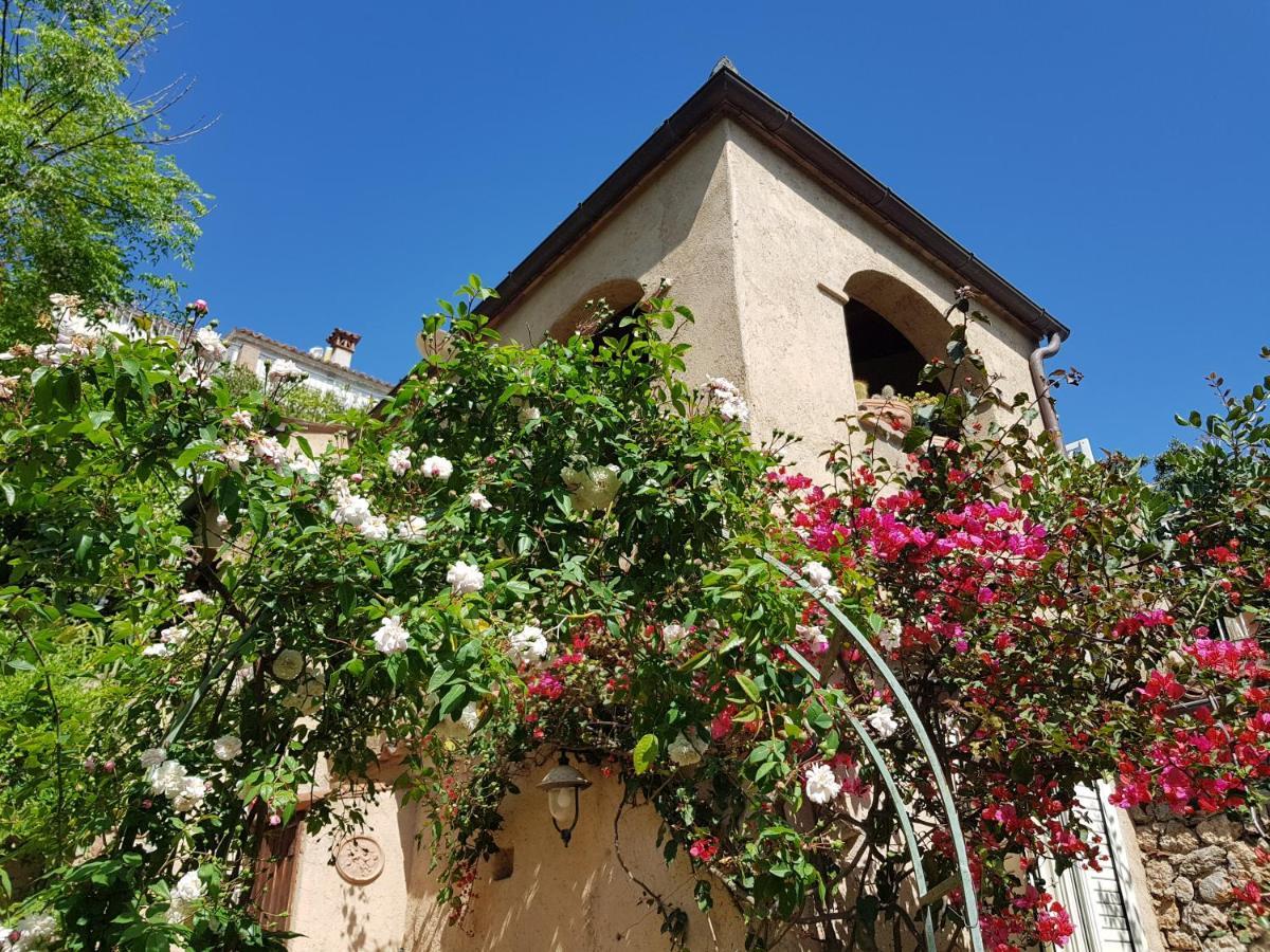 Tenuta Palmieri Only Adult Maratea