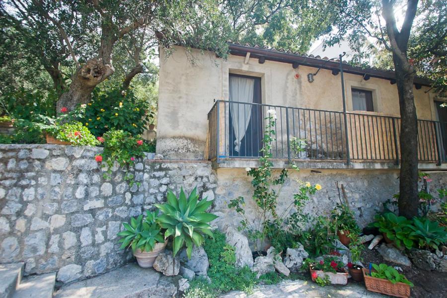 Tenuta Palmieri Only Adult Couette-café